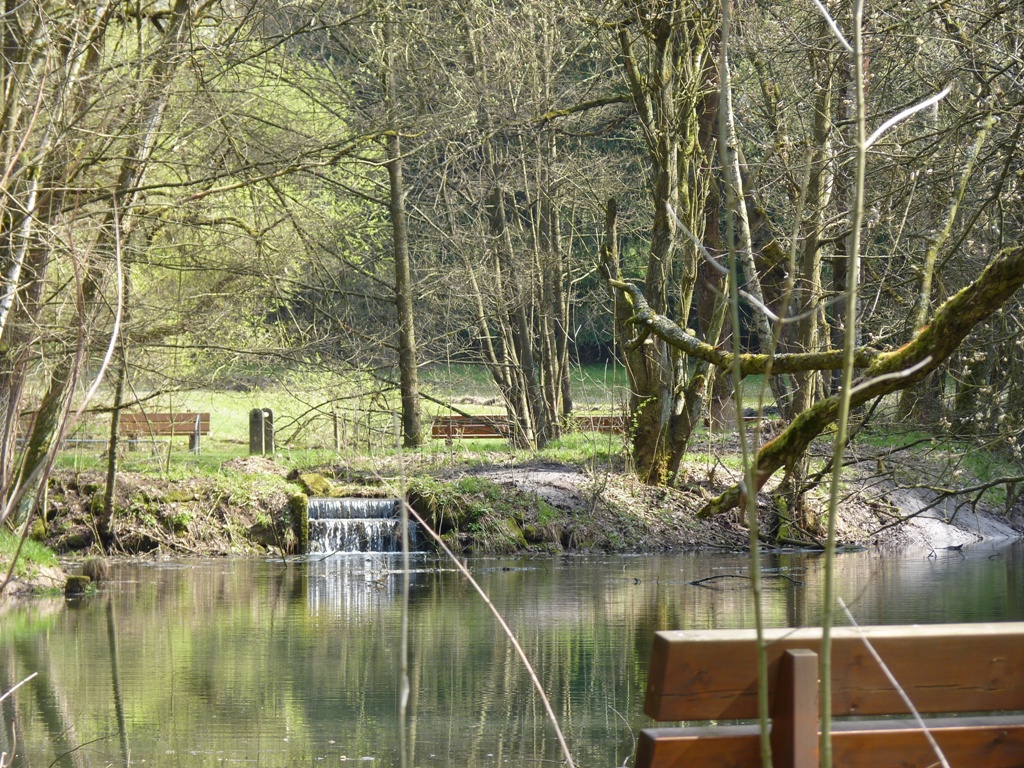 Bild vom Gruberbachtel mit dem Ausschnitt einer Sitzbank im Vordergrund und dem Fluss und Bäumen im Hintergrund